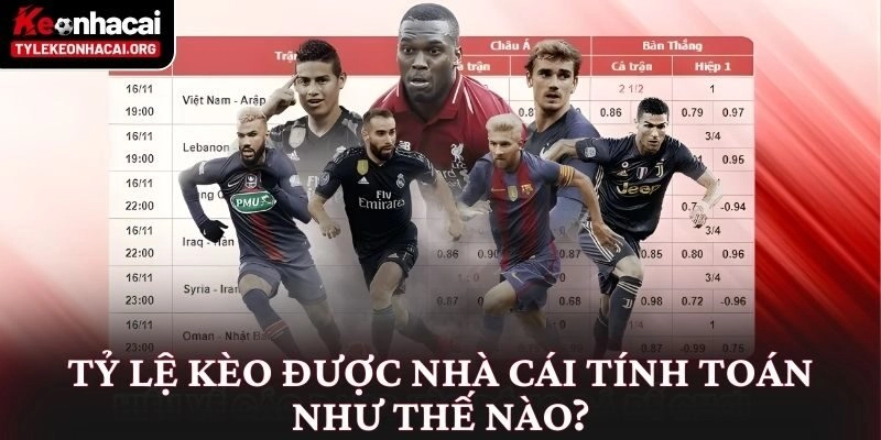 Tỷ lệ kèo được nhà cái tính toán như thế nào?