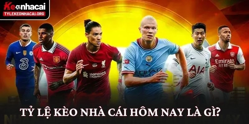 Tỷ lệ kèo nhà cái hôm nay là gì?